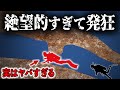 パニック！狭すぎる水中洞窟で動けなくなった男性の悲惨すぎる末路【ウィーキ・ワチー・ケイブの悲劇】【ゆっくり解説】