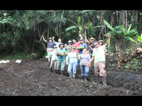 Vídeo: Com Iniciar El Vostre Propi Negoci En Agricultura