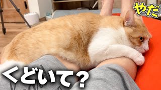 飼い主が好きすぎてイジワルされても足の上から動かない猫が可愛すぎました…