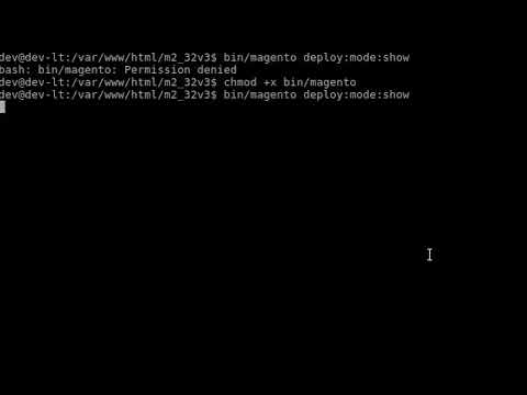 bin/magento Permission denied