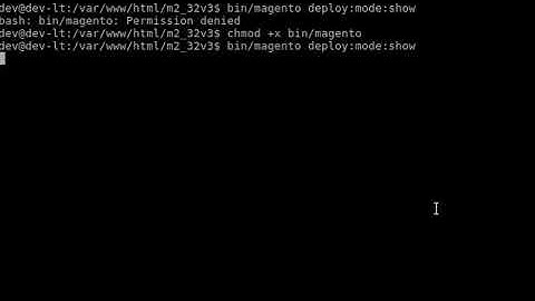 bin/magento Permission denied