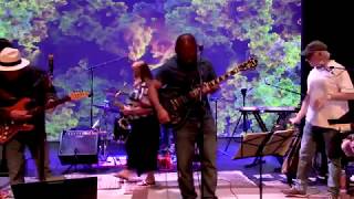 Video thumbnail of "Gumbo Jam Bands "I Got Loaded" by The Little Big Band"