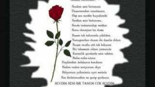 Seviyorum Deli Gibi Sevi̇yorum