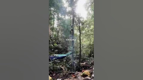 Project Jaringan Multimedia | itb-stikom ambon