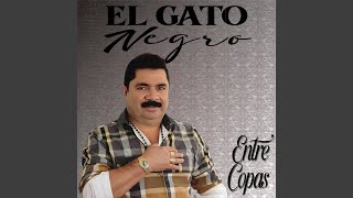 Versión 2 del video