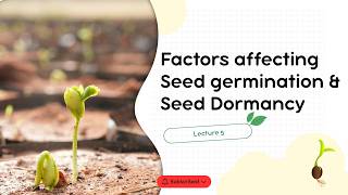 Seed Germination & Dormancy EXPLAINED | Factors, Types & The Biology of Growth