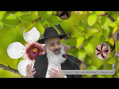 בדרך לישראל נחתו נחיתת חירום באפריקה ורק בזכות ניגון יהודי מיוחד בערו הלבבות של כולם 💛💛