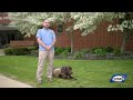 Heroes Among Us: K-9 Ozzy and his handler Brian Pinsonneault