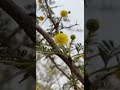 يامجيب دعوة المضطرين إرحمنا برحمتك يارب يامجيب دعوة المضطرين إرحمنا برحمتك يارب