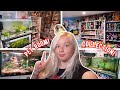 My animal room and collection room tour