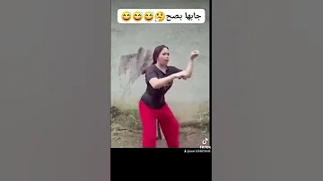 أروع مقاطع القصبة و الرقص الشاوي على يوتوب 