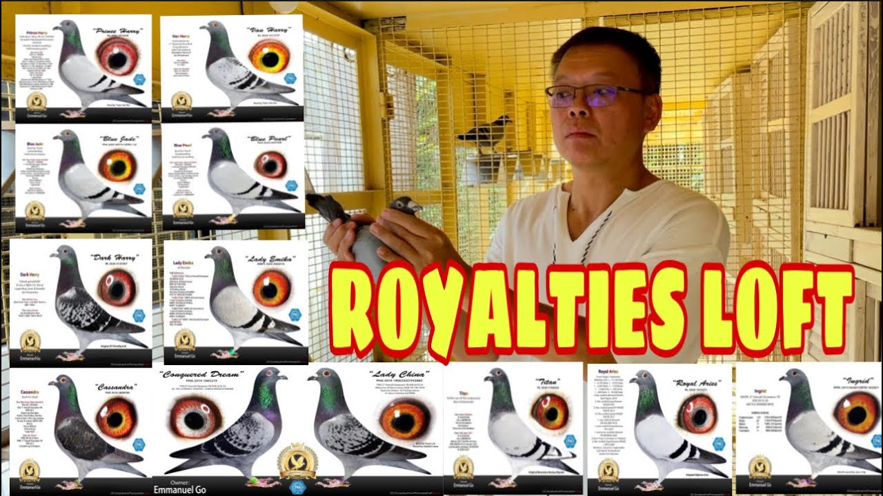 Vlog 136 THE HUMBLE MAN/MR.ROYALTY- BOSS MANNY GO || Master Pogi Banwait TV #indian #tips #animals