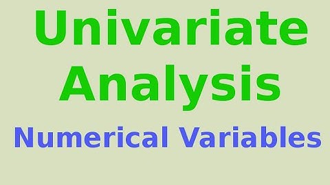 Univariate Analysis: Numerical Variables