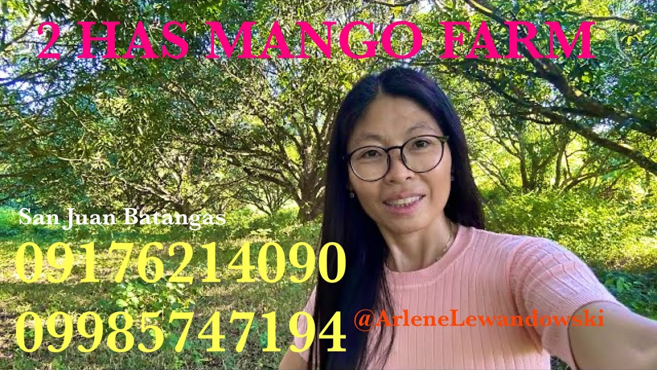 Vlog594 2 HECTARE TITLED MANGO FARM FOR SALE IN SAN JUAN BATANGAS PHILIPPINES WITH MOUNTAIN