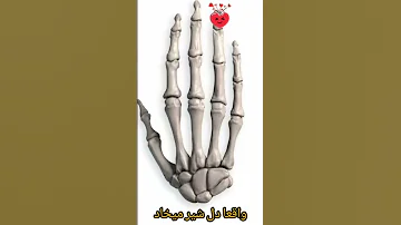 معما سرگرمی 