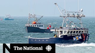Arrests made in dispute between Mi’kmaw lobster fishery and non-Indigenous fisherman