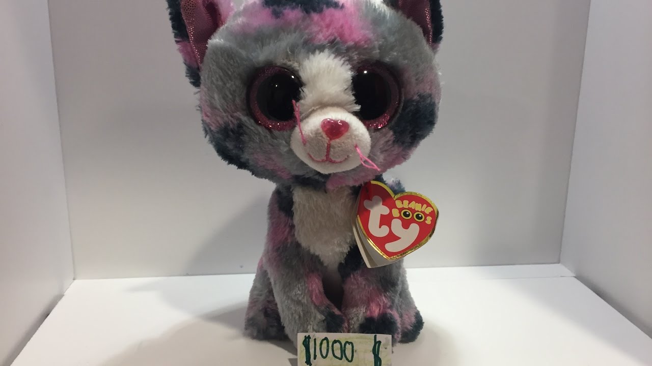 Poopy Cat Poops A 1000 Bill YouTube poopy-cat-poops-a-1000-bill-youtube