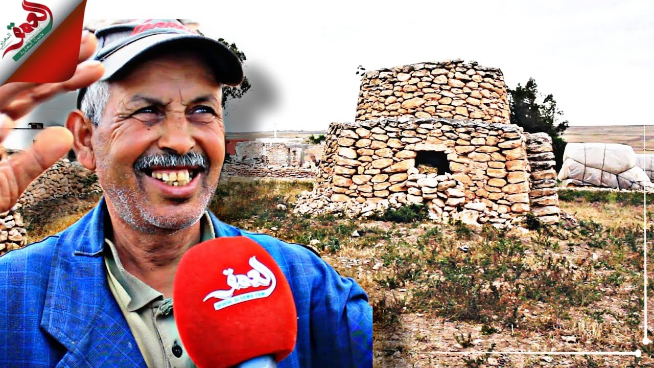 النوالا أو طازوطا