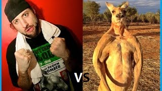 Man Punches Kangaroo In The Face To Save His Dog Video - Street Fight Version