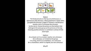 Cogat Picture Classification