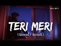 Teri meri prem kahani slowed  reverb  rahat fateh ali khan shreya ghoshal  bodyguard  sr lofi