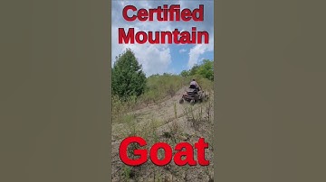 Grasshopper Mowers - THE BEST! #shorts