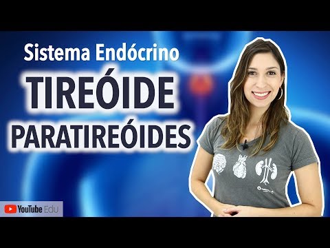 Vídeo: O que a paratireoide faz?