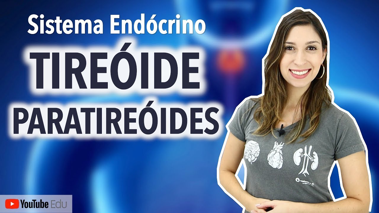 Qual A Função Da Tireoide E Da Paratireoide?