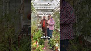 Что значит НЕ КОПАТЬ ЗЕМЛЮ?! #дачныйагроном #рекомендуем #дача #сад #огород #грядки