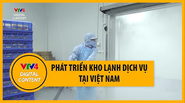 Phát triển kho lạnh dịch vụ tại Việt Nam | VTV4