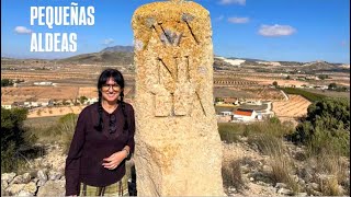 Entre viñedos y montañas: Cañada del Trigo y Casas del Pino