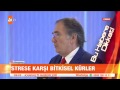 Prof. Dr. İbrahim Saraçoğlu'ndan strese karşı bitkisel kürler! - atv