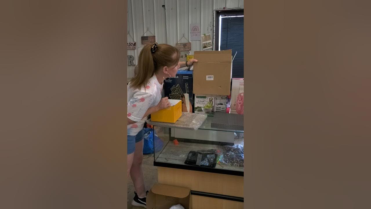 High 5 Bargain Bin Rainsville! This Sat 85 Everything is 5.00 YouTube