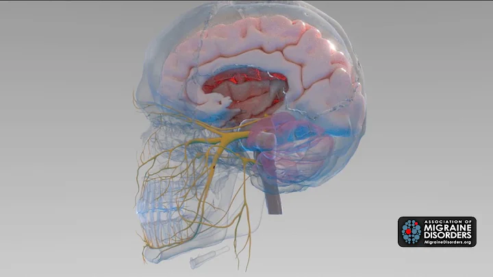 What Causes Migraine Disease? 5 Factors in Migraine Neurobiology - DayDayNews