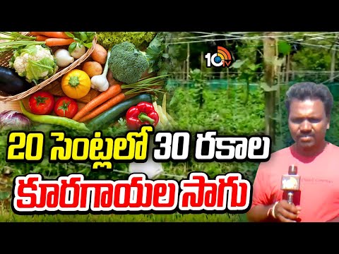 30 Varieties Of Vegetable Cultivation | 20 సెంట్లలో 30 రకాల కూరగాయల సాగు | Matti Manishi | 10TV - 10TVNEWSTELUGU