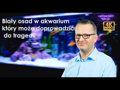 Wideo: Monarda - Bojownik Przeciwko Pleśni