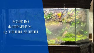 видео: Море во флорариум. 1,5 тонны зелени картинка: Море во флорариум. 1,5 тонны зелени