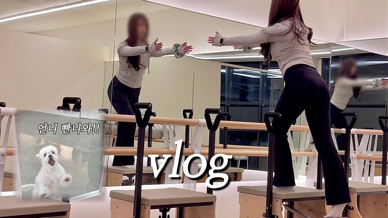 Vlog. 필라테스 강사의 일주일 일상 브이로그 . 수업하는거 엿보기👀 . 살짝 엔진로그. 구오빠들 안녕 잘지내 . 말티즈견주 일상 