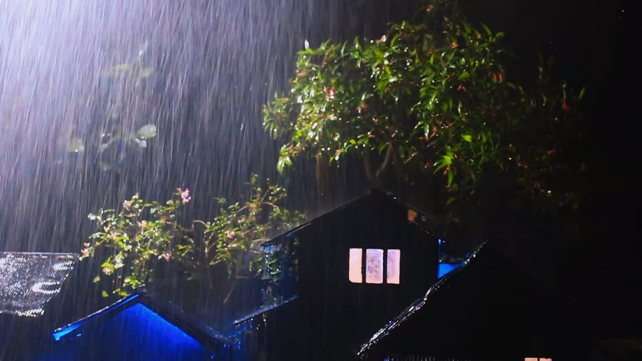 Sleep Soundly with the Sound of Rain and Thunder on the Tin Roof of a ...