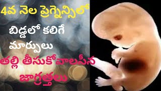 4 month pregnancy baby movements in telugu| 4th month pregnancy in telugu| baby  development