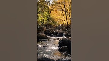 {ولا تخزني يوم يبعثون} قرآن كريم القارئ ياسر الدوسري#سورة_الشعراء #قرآن #قران_كريم #سورة_البقرة