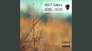 Scherbensucher (Original Mix)