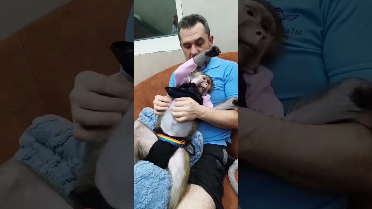 Запись с эфира- " Зачем они вам?" 🤦‍♂️ Ответ ....❤️