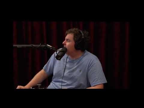 Joe Rogan Watches Hasbulla Fight A Monkey