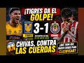 TIGRES VS GUADALAJARA Chivas vs las cuerdas ! 
