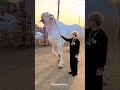 Bakra😱😱😱#ytshorts