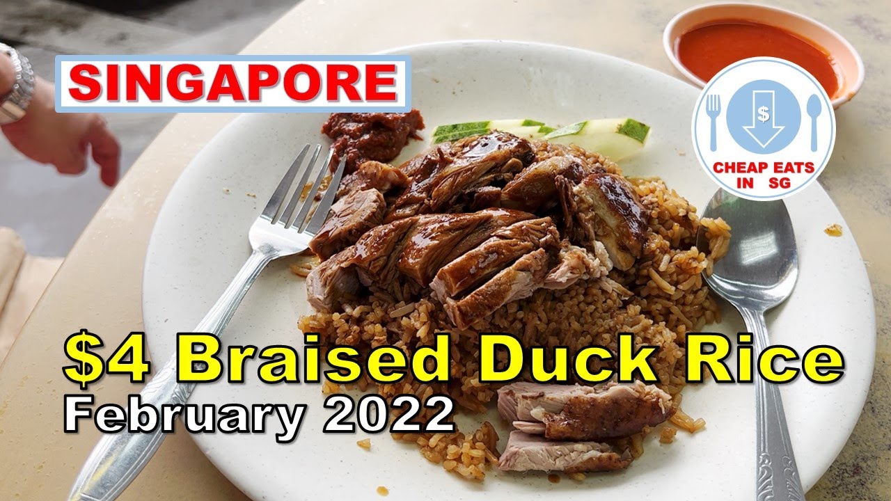 Cheap Meals in Singapore 4 Braised Duck Rice Feb 2022 YouTube