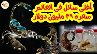 تعرف على اغلى سائل فى العالم يصل سعره إلى  مليون دولار للجالون الواحد عقرب 