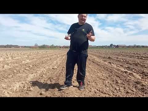 Vječita dilema Sjetva kukuruza  ranija ili kasnija (Earlier or lager sowing of maize)(