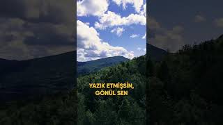 Geçen Günlere Yazik